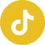 TikTok.jpeg